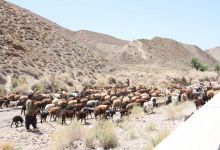 گزارش تصویری اردوی کارکنان دانشگاه 